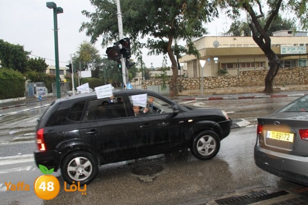 qafela sayarat haiywa (38).JPG